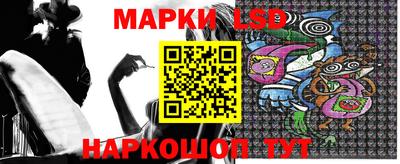 шишки Можга