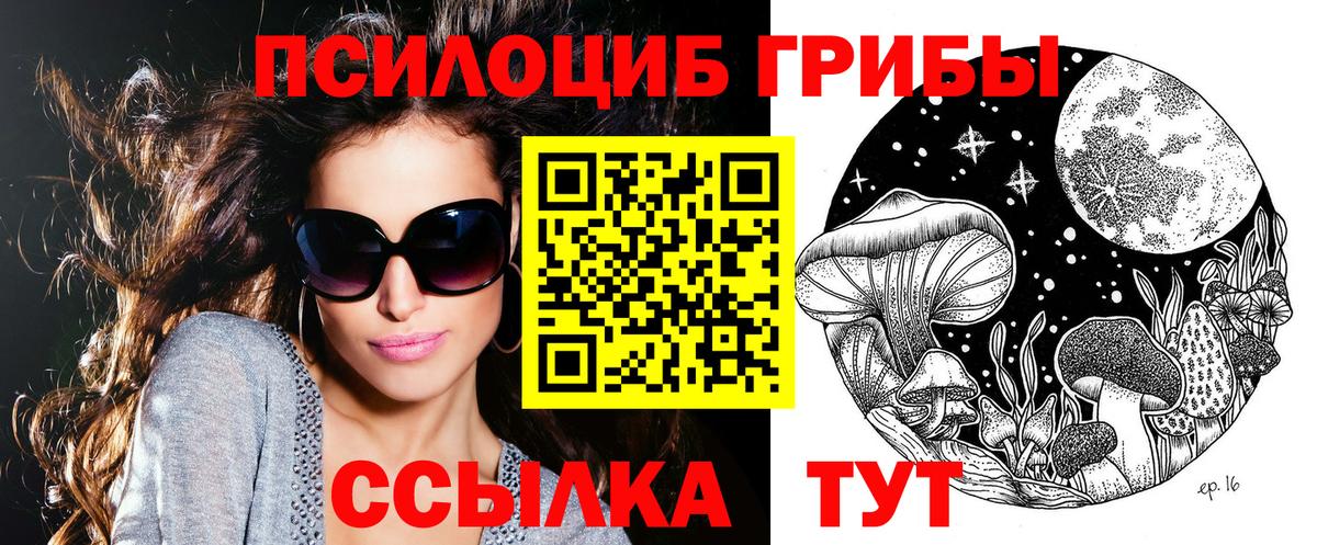 Псилоцибиновые грибы мухоморы  Псилоцибиновые грибы MAGIC MUSHROOMS  Элиста  Вход с VPN 