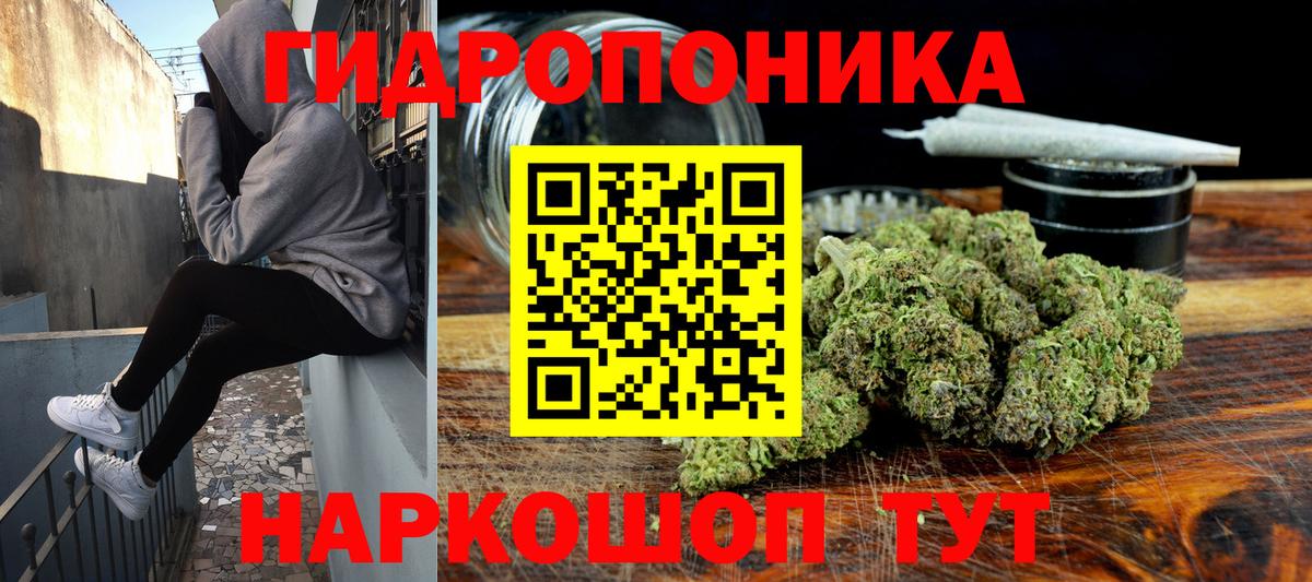 Элиста  Конопля сатива  Бошки марихуана сатива  Вход с VPN  Канабис гибрид 